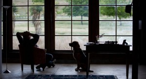 brideflight_stills (35) 